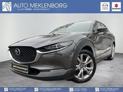 Gebraucht Mazda CX-30 Selection 150 PS (110 kW) 2021 Grau SUV