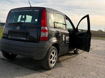 Usata Fiat Panda 75 CV (55 kW) 2009 Nero Utilitaria