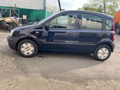 gebraucht Fiat Panda 1.1 8V Active