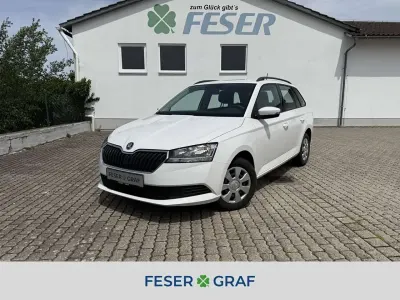 Gebraucht Skoda Fabia Active 95 PS (69 kW) 2019 Candy weiss Kleinwagen