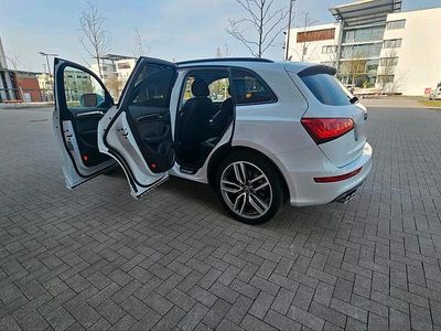 Usata Audi SQ5 Design 313 CV (230 kW) 2014 Bianco SUV