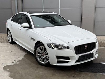Gebraucht Jaguar XF R-Sport 179 PS (131 kW) 2016 Weiß Limousine