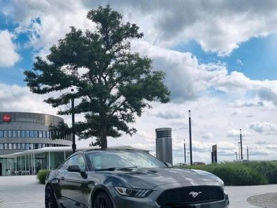 gebraucht Ford Mustang 2.3 eco boost