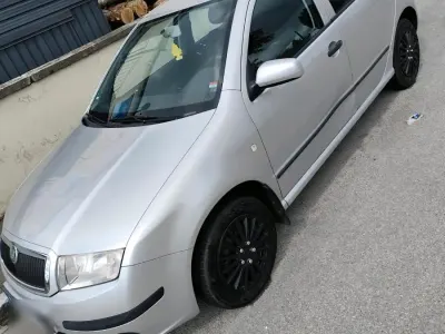 Brugt Skoda Fabia