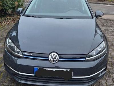 Gebraucht VW Golf VII Comfortline 131 PS (96 kW) 2019 Grau Kombi