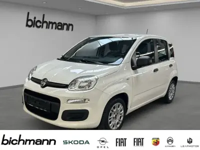 Occasion Fiat Panda 69 ch (50 kW) 2021 Blanc Citadine
