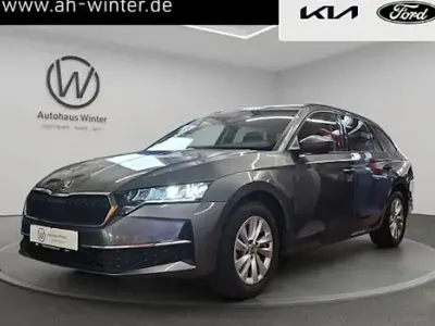Używany Skoda Octavia Selection 150 KM (110 kW) 2024 Szary Kombi