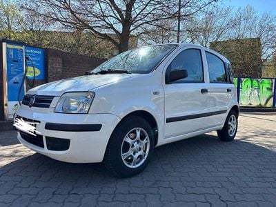 Usata Fiat Panda 54 CV (39 kW) 2009 Bianco Utilitaria