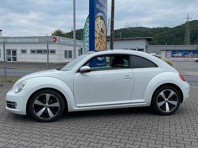VW Beetle
