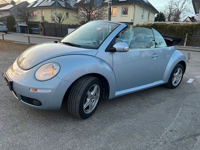 VW Beetle