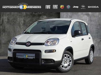 Gebraucht Fiat Panda Pop 69 PS (50 kW) 2025 Weiss) (weiss Kleinwagen