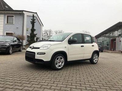Gelato weiß Gebraucht 2024 Fiat Panda Kleinwagen | 12.990 € (Fairer Preis)