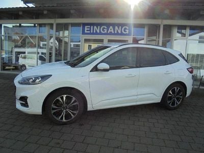 Gebraucht Ford Kuga ST-Line X 190 PS (139 kW) 2020 Weiß SUV