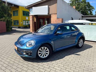 VW Beetle