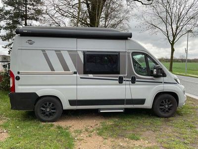 gebraucht Fiat Ducato Carado 540 Professionell mit Aufstelldach