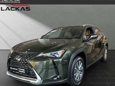 Lexus UX 300e