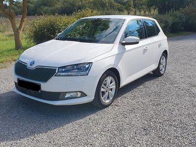 Weiß Gebraucht 2020 Skoda Fabia Style Kleinwagen | 11.600 € (Guter Preis)