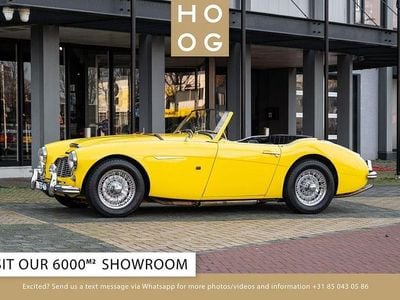 Gebraucht Austin Healey 100/6 120 PS (88 kW) 1957 Gelb Cabrio