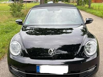VW Beetle