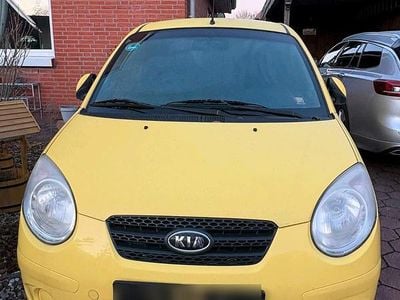 Gelb Gebraucht 2008 Kia Picanto Kleinwagen | 750 €
