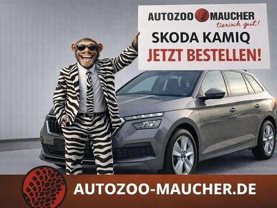 Neu Skoda Kamiq Selection 116 PS (85 kW) 2026 Graphite grau SUV