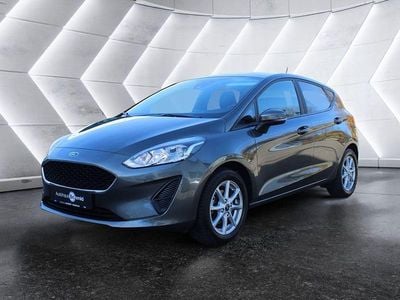 Gebraucht Ford Fiesta Cool & Connect 75 PS (55 kW) 2020 Grau Kleinwagen