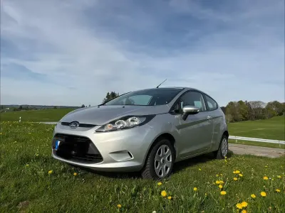 Używany Ford Fiesta Trend 60 KM (44 kW) 2010 Szary Hatchback