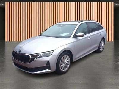 Usata Skoda Octavia Selection 150 CV (110 kW) 2025 Argento Station wagon