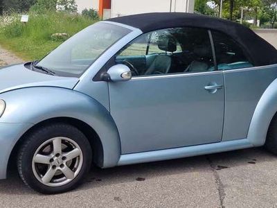 VW Beetle