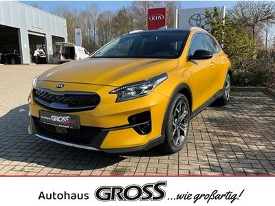 gebraucht Kia XCeed Edition 1.6 EU6d-T Plug-in Hybrid Platinum LED Nav