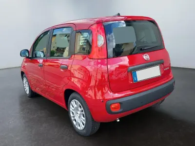 Neu Fiat Panda 64 PS (47 kW) 2026 Rosso, rot Kleinwagen