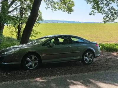 Gebraucht Peugeot 407 Coupe Sport 163 PS (119 kW) 2006 Coupé