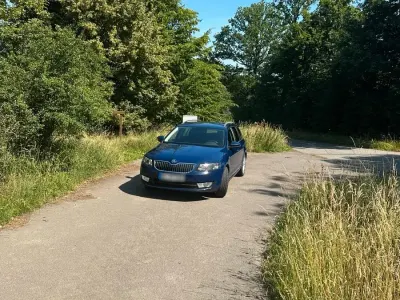Gebraucht Skoda Octavia 110 PS (80 kW) 2016 Blau Kombi