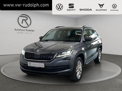 Gebraucht Skoda Kodiaq Ambition 190 PS (139 kW) 2019 Grau SUV