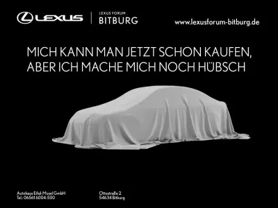 Neu Lexus NX450h+ Business Edition 292 PS (214 kW) 2026 Grau SUV