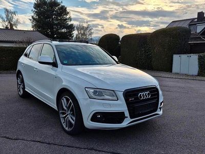 Gebraucht Audi SQ5 Competition 326 PS (239 kW) 2016 Weiß SUV