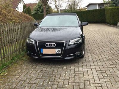 gebraucht Audi A3 Cabriolet A3 1.6 TDI DPF Ambition