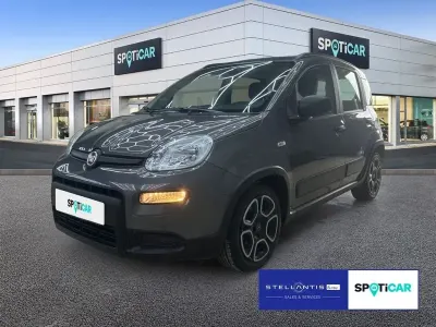 Occasion Fiat Panda City Life 69 ch (50 kW) 2022 Gris Citadine