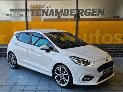 Second-hand Ford Fiesta ST-Line 101 CP (74 kW) 2019 Alb Hatchback