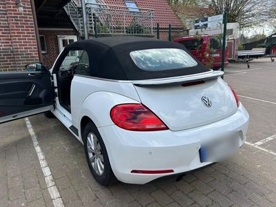 gebraucht VW Beetle Cabrio Automatik Diesel