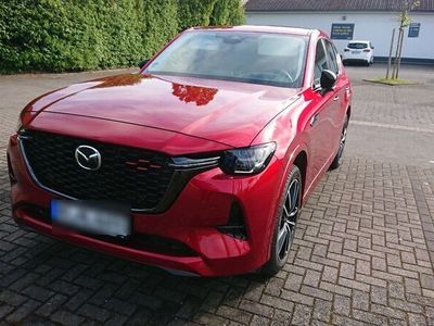 gebraucht Mazda CX-60 2.5 e-SKYACTIV PHEV Homura Auto AWD Homura