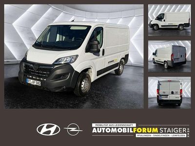 Cassablanca weiß Gebraucht 2024 Opel Movano Edition Van | 29.800 € (Fairer Preis)