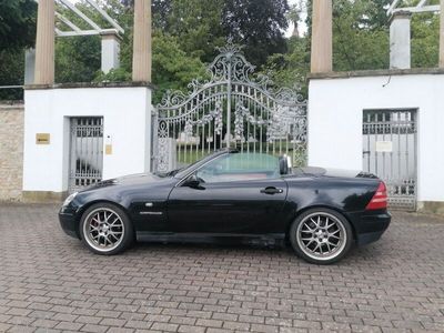 Mercedes SLK230