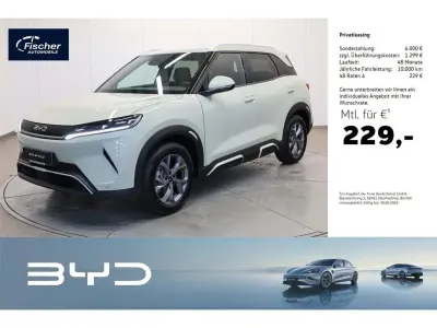 Neu BYD Atto 2 Comfort 150 kW (204 PS) 2026 Hiking green SUV
