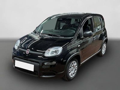 Gebraucht Fiat Panda 69 PS (50 kW) 2024 Schwarz Kleinwagen