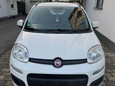 Gebraucht Fiat Panda 69 PS (50 kW) 2012 Weiß Kleinwagen