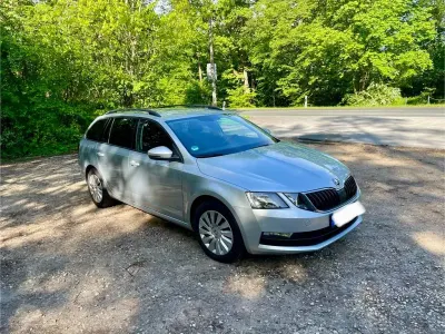 Gebraucht Skoda Octavia Ambition 116 PS (85 kW) 2019 Silber Kombi
