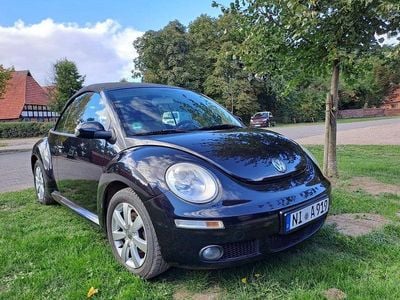 VW Beetle