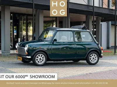 Gebraucht Rover Mini 53 PS (38 kW) 1994 Grün