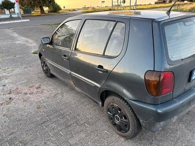 VW Polo